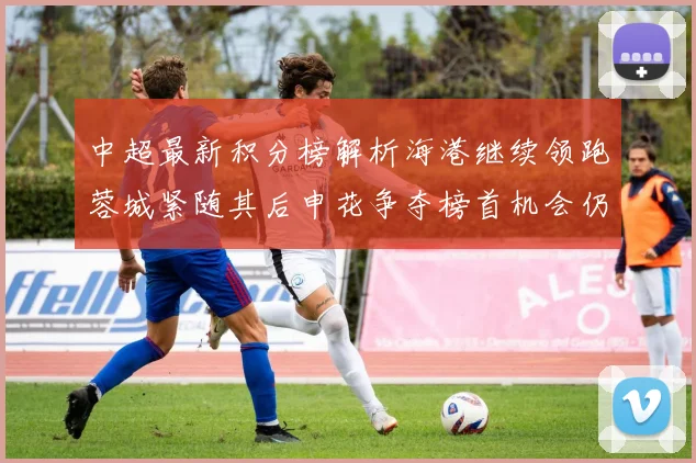 中超最新积分榜解析海港继续领跑蓉城紧随其后申花争夺榜首机会仍在