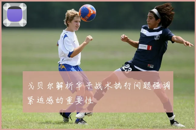 戈贝尔解析华子战术执行问题强调紧迫感的重要性