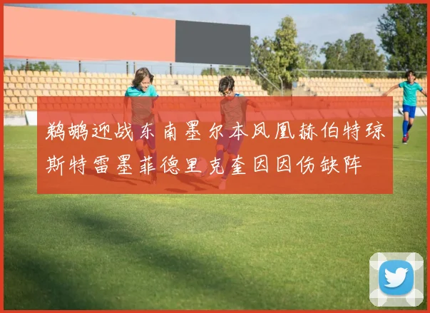 鹈鹕迎战东南墨尔本凤凰赫伯特琼斯特雷墨菲德里克奎因因伤缺阵