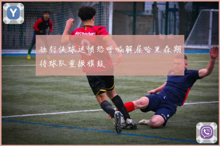 独行侠球迷愤怒呼喊解雇哈里森期待球队重振旗鼓