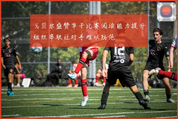 戈贝尔盛赞华子比赛阅读能力提升组织串联让对手难以防范