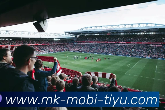 MK体育发展历程